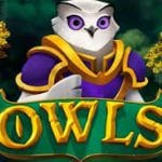 Owls, une slot de Nolimit City