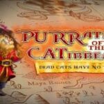 PURRates of the CATibbean slot high 5 games
