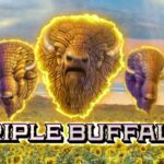 Triple Buffalo high 5 games