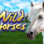 Wild Horses high 5 games