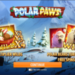 polar paws