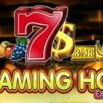 flaming hot extreme slot egt