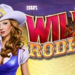 Wild Rodeo