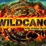 Wildcano logo