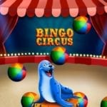 bingo bingocircus