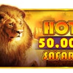 Hot Safari Scratchcard pragmatic play