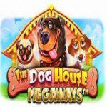 Différents types de Wilds sur The Dog House Megaways