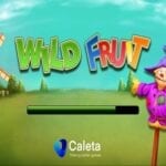 wild fruit caleta gaming