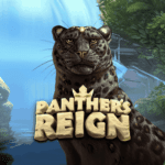 panther's reign