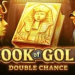 Book of Gold Double Chance machine à sous développée par playson
