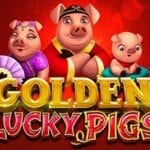Booming Games Golden Lucky Pigs