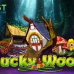 EGT-Interactive-Lucky-Wood-video-slot