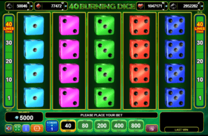 40 burning dice machine a sous