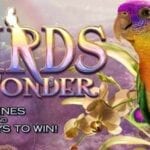 Slot vidéo Birds of Wonder de High 5 Games