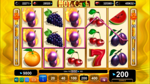Hot_&_Cash_Slot_EGT_Interactive