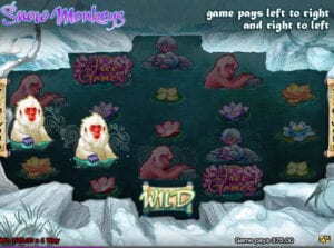 Slot vidéo Snow Monkeys High 5 Games