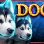Dogs_High5_Slot