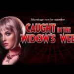 Caught in the Widow’s Web high 5 games