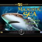 Majestic Sea high 5 games