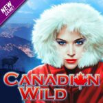 Canadian Wild high 5 games
