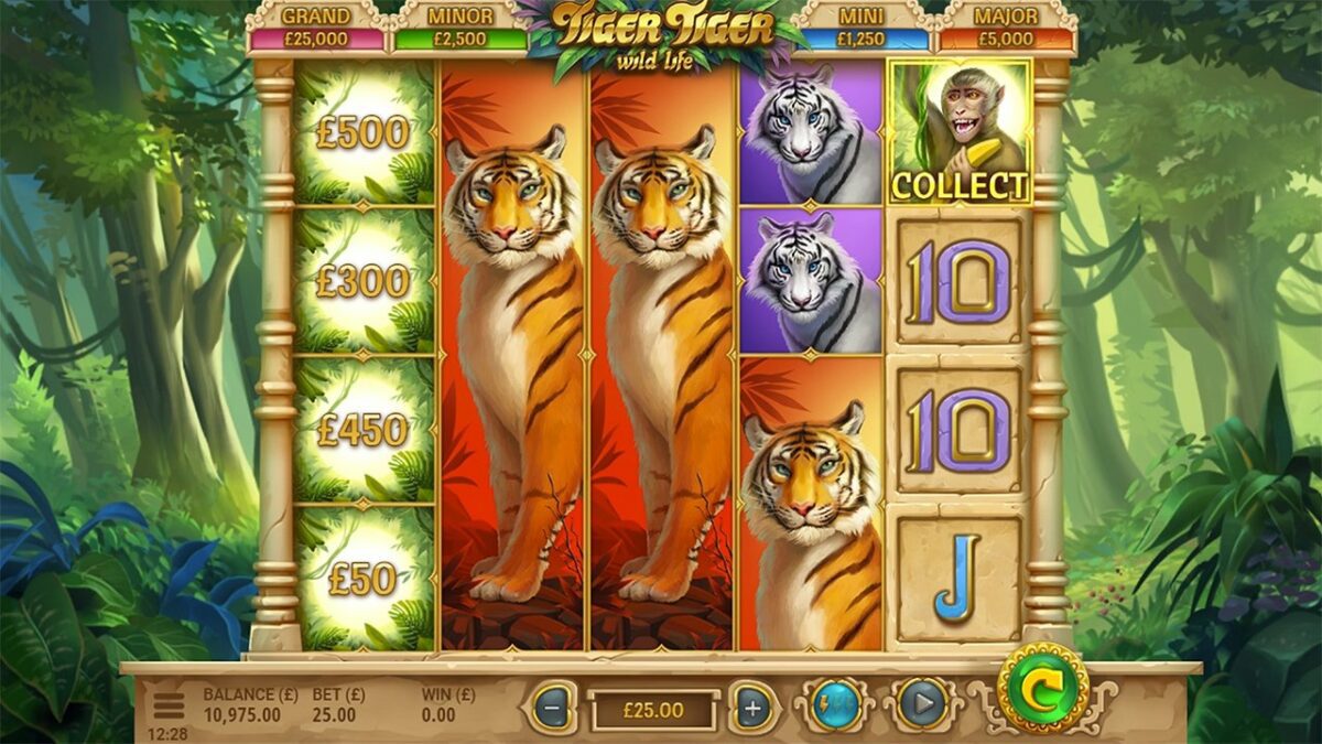 tiger_tiger_collect_feature_1280x720_01