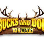 Bucks and Doe 10k Ways et ses Respins