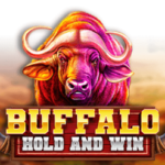 Les buffles vous rapportent Free Spins et Stacked Wilds sur Buffalo Hold and Win