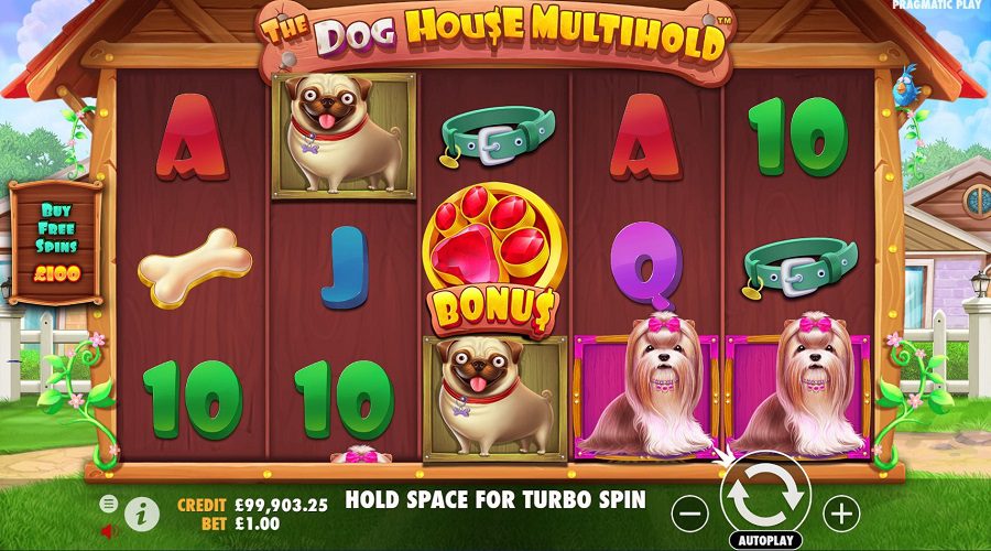 The-Dog-House-Multihold-slot